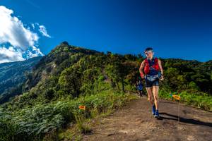 BIB: 
                            <button type="button" onclick="openModal(19033329)" class="btn btn-primary btn-sm float-right btn-popup" data-toggle="modal" data-target=".modal-high-quality">
                        <i class="fas fa-shopping-cart"></i> Add to Cart
                    </button>
                                            <button type="button" onclick="isThisMe(19033329, true)" class="btn btn-success btn-sm float-right btn-popup btn-isme hidden" data-toggle="tooltip" data-placement="bottom" title="นี่คือรูปของคุณใช่ไหม คลิกที่นี่เพื่อเอาเข้าอัลบั้ม">
                        <i class="fas fa-plus"></i> Add to album
                    </button>
                    <button type="button" onclick="isThisMe(19033329, false)" class="btn btn-warning btn-sm float-right btn-popup btn-isnotme hidden">
                        <i class="fas fa-ban"></i> Remove from album
                    </button>